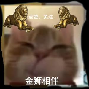 一只暗夜YA头像