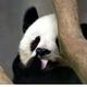 小罗8239 · 哈弗H6车主·车龄2年头像