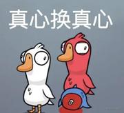 双鱼座的老王的个人资料头像