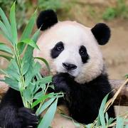 胡康的个人资料头像