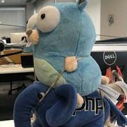 陈海31的个人资料头像