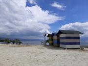 魔鬼在念经的个人资料头像