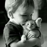 南巷故人不知归455头像