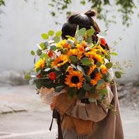 小娱精灵头像