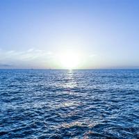 小太阳1号250头像