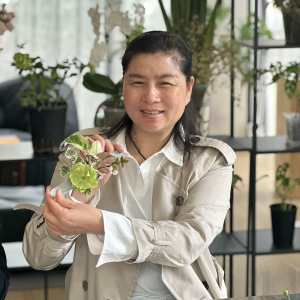 上海威利改装杜美红头像