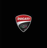 Ducati999头像