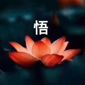 菩提心愿头像