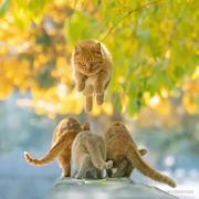 虚左的个人资料头像