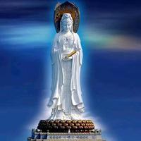 灿烂柳叶Q1j头像