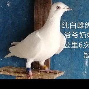 其乐融融橡皮8r头像