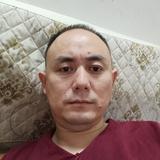 波平231头像