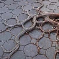 用户2841250760835头像