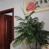 保魏国家头像