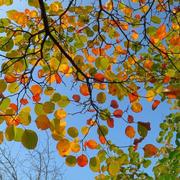 大小多少427的个人资料头像