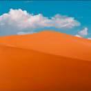 ding专家的个人资料头像