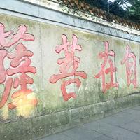 用户4503830373897头像