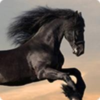 用户3873972395875头像