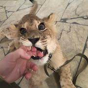 xd_demo的个人资料头像