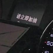 飓风吹拂的个人资料头像