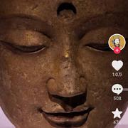 jinglin的个人资料头像