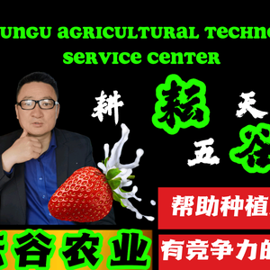 李绪阳头像