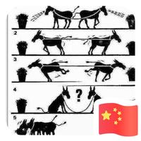 人生如茶慢慢沉淀435头像