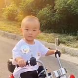 勇往直前的菠萝gi头像