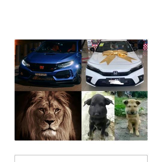 风雨兼程1031843048头像