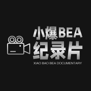 小爆bea纪录片头像