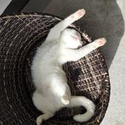 夜行602的个人资料头像