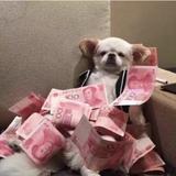 用户4585481876124头像