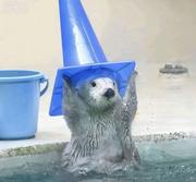 枝枝zz的个人资料头像