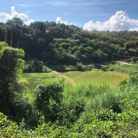 用户1418027323401头像