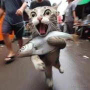 无厘头37的个人资料头像