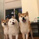悾苩6头像