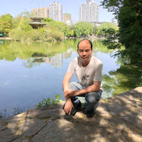 快棋天天象棋头像