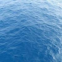 白酒配大海头像