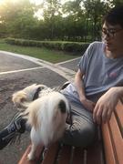 nicoxiang的个人资料头像