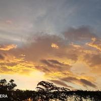 爱超前的巧克力豆头像