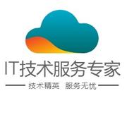 IT系统服务顾问的个人资料头像