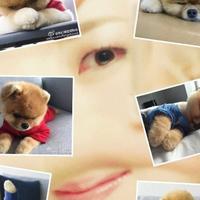 艾斯特三品头像