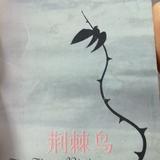 积极的松鼠oT头像