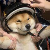 廖增太头像