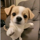 梦中画别离头像