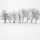 罗主席的个人资料头像