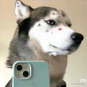 池池池的个人资料头像