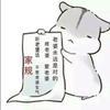 HS5新手司机头像
