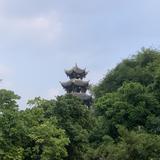 随行拍未来头像