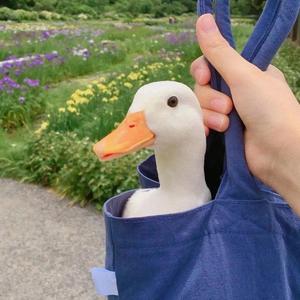 解压看视界头像